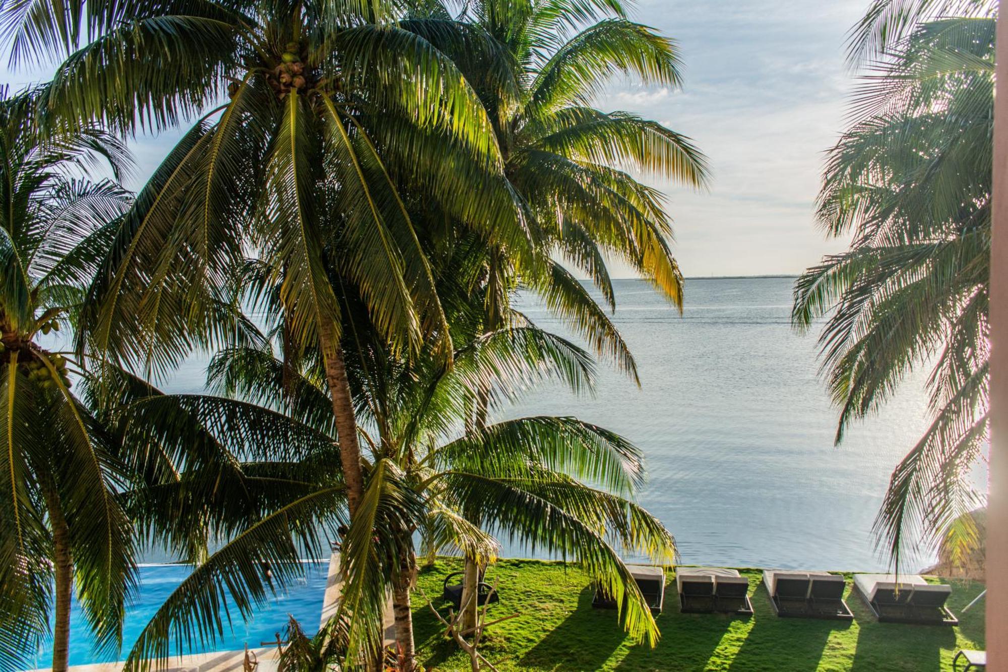 Casa Tortugas Boutique Hotel, An Authentic Hidden Gem In Cancun Exterior photo